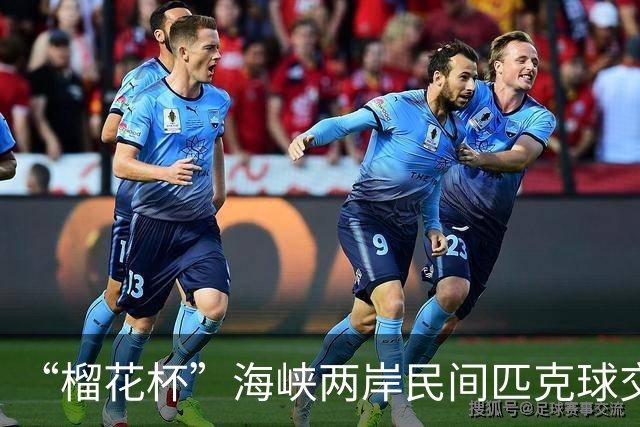“榴花杯”海峡两岸民间匹克球交流赛在云南省玉溪开赛