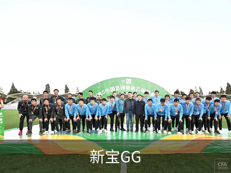 新宝GG简介
