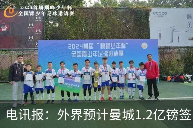电讯报：外界预计曼城1.2亿镑签安德森 担忧这一价格引发连锁反应